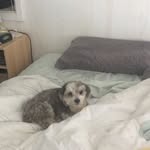 Colleen Cox - @colleencox42 - Instagram