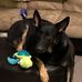Colleen Cox - Facebook