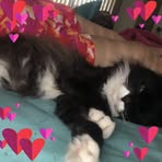 Colleen Cox - Facebook