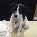 Colleen Darling - @colleendarling1960 - Instagram