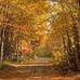 Colleen Doucet - Facebook