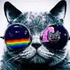 Colleen Dupuis - @colleen.dupuis0 - TikTok