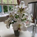 Colleen Eddy Masters - @colleen.eddy.masters - Instagram