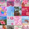 colleeneddy541 - @colleeneddy541 - TikTok