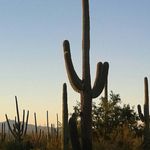 Colleen Prior Emerick - @cpemerick - Instagram