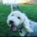 Colleen Flannery - Facebook