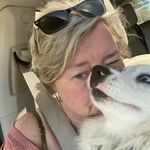 Colleen Flannery - @cflannerync - Instagram