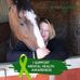 Colleen Ford-Ellis - Facebook