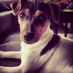 Colleen Forde - @icaderham - Instagram