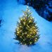 Colleen Freeman - Facebook