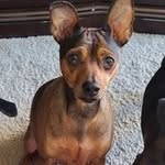 Colleen Fuller - @cfuller0772 - Instagram