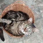 Colleen Gale - @colleen.gale.1257 - Instagram
