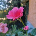 Colleen Hart - @colleenhart - Instagram