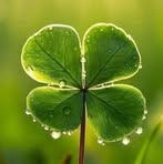 Colleen Hicks - Facebook