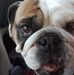 Colleen Hicks - Facebook