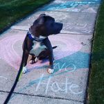 Colleen Howes - @wiscoco - Instagram