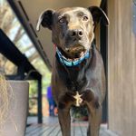 Colleen Howes - @allthingsmatch - Instagram