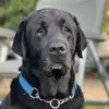 colleenhydee - @colleenhydee - TikTok