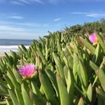 Colleen Iles - @ckayiles - Instagram