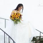 Colleen Jerome - @cc_jerome1013 - Instagram