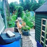 Colleen Khan - @colleen_khan2019 - Instagram