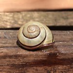 Colleen Kane - @linoleumville - Instagram