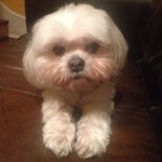 Colleen Kestner - @colkestner - Instagram