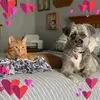 colleenkrause2 - @colleenkrause2 - TikTok
