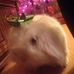 Colleen Laing - Facebook