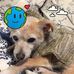 Colleen Laird - Facebook