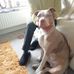 Çolleen Lamb - Facebook
