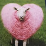 Colleen Lamb - @oldewe1938 - Instagram