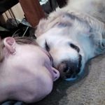 Colleen Long - @colleenlong2010 - Instagram