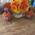 Colleen Macgregor - Facebook