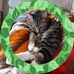 Colleen Mason - Facebook