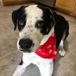Colleen Mason - @colleen_mason821 - Instagram