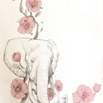 Colleen Mason - @zoomthis12 - Instagram