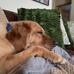 Colleen McCall Cole - @colleencole222 - Instagram