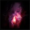 Colleen McCallie - @colleenmccallie - TikTok