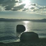 Colleen McGovern - @colleenmcgov - Instagram