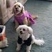 Colleen Meredith - Facebook