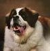 Colleen Moore - Facebook