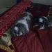 Colleen Morrell - Facebook
