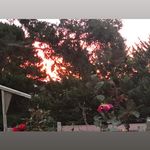 Colleen Morrow - @colleenmorrow3 - Instagram