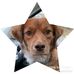 Colleen Mueller - Facebook