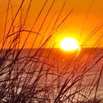 Colleen Lutack Nash - @colleen_lutack_nash23 - Instagram