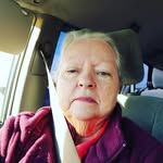 colleen oliver - @catolivermeow - Instagram