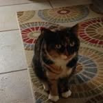 Colleen Oliver Butler - @colleenoliverbutler - Instagram