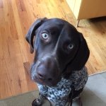 Colleen Goetz-Palermo - @all_about_asic_gsp - Instagram