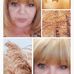 Colleen Parrish - Facebook